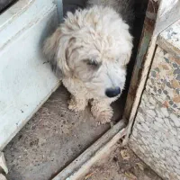 میتو خانم مهربون و خوش قلب