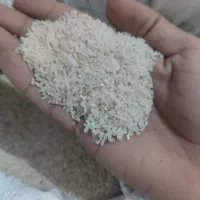 برنج طارم هاشمی|خوردنی و آشامیدنی|خان ببین, |دیوار