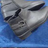 کفش زنانه|کیف، کفش، کمربند|زابل, |دیوار