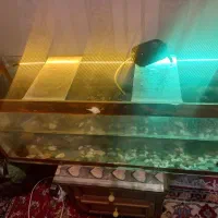 آکواریوم بزرگ به همراه پمپ آب ۲زمانه سالم و