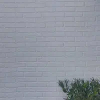 کاشی و سرامیک|مصالح و تجهیزات ساختمان|لنگرود, |دیوار