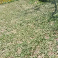 فروش-انبار-مغازه-یا-کارگاه