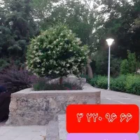 خط تلفن ثابت رند