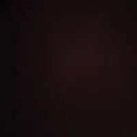 091.2020.990.4