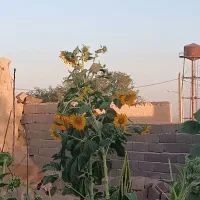 راهنمای کنید