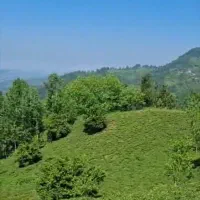۲۴۰۰ متر زمین با پروانه ساخت ، ۶ میلیارد تومان