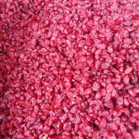 عناب جگری امسالی وزرشک پفکی امسالی|خوردنی و آشامیدنی|بجستان, |دیوار