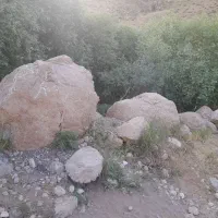 خونه-نیمه-ساز