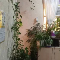 فروش آپارتمان شرایطی ۸۶ متری ذوالفقاری ایستگاه ۲|فروش آپارتمان|آبادان, |دیوار