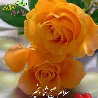 207مشکی دنده 403کمکار فلز