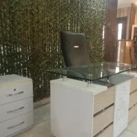 کارمند خانم اداری پاسخگو تلفن