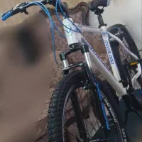 دوچرخه اصل تایوان ۲۶