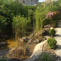 ۳۴۰ متر خ سرو و کاج خ انصاری