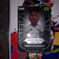 سیلوره وینی