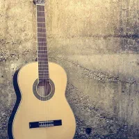 آموزش گیتار پاپ و کلاسیک|خدمات آموزشی|تهران, سعادتآباد|دیوار