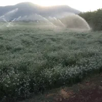 زمین-کشاورزی