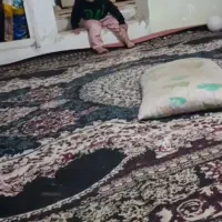 یک جفت فرش12متری  سرمه ای آبی