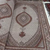 انواع ۶ متری ماهی در رنگ بندی مختلف موجود شد