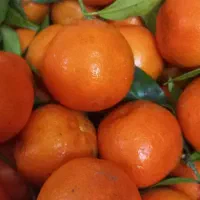 کرماتین پیوندی شیرین در حد|خوردنی و آشامیدنی|آشخانه, |دیوار