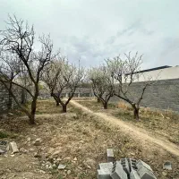 زمین