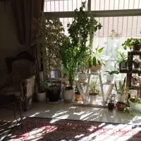 فروش-ویلایی-173متری-دوکله-خ-اصلی-حمزه-شمالی