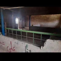 دامداری ۵۰ راسی|فروش دفتر صنعتی، کشاورزی، تجاری|سمنان, |دیوار