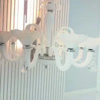 لوستر پذیرایی