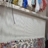 قالی ۹ متر پشمی|فرش|کاشان, امیرکبیر|دیوار