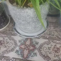 ظرف|سرویس روتختی|آزادشهر, |دیوار