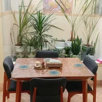 میزنهاخوری ۴نفره پرومکس