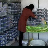 پرورش حیوانات داخل جعبه