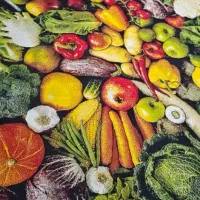 فرش آشپزخانه و فرش  کودک