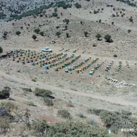 فروش عمده و جزئی عسل|خوردنی و آشامیدنی|دالاهو, |دیوار