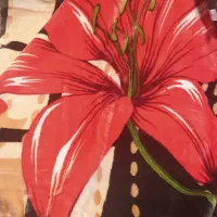 فروش پتو یک نفره|رختخواب، بالش، پتو|رشت, پل تالشان|دیوار