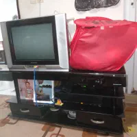 تلویزیون بامیز