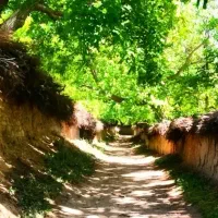باغ-گروه-5