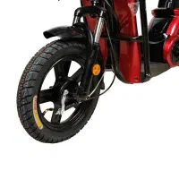 دوچرخه برقی وینر اسکای Winnersky|دوچرخه، اسکیت، اسکوتر|شیراز, ملاصدرا|دیوار