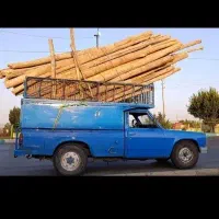 خرید انواع چوب