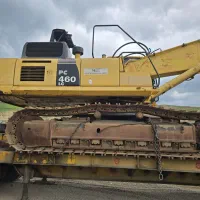 بیل زنجیری به همراه پیکور