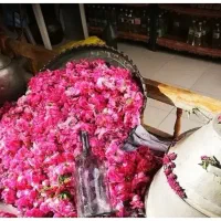 تور کاشان گلاب گیری قمصر
