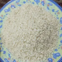 برنج کامفیروزی|خوردنی و آشامیدنی|شیراز, کوشک میدان|دیوار