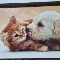 استخدام منشی و فروشنده برای شیفت عصر