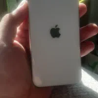 آیفون SE2020 (فروش فوری)|موبایل|رامسر, |دیوار