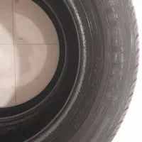 لاستیک|قطعات یدکی و لوازم جانبی|تربت‌حیدریه, حاجی یار‎|دیوار