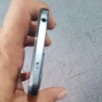 شیامی نوت دوازده درحد