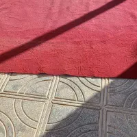 موکت|موکت|خلخال, |دیوار