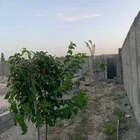 فروش-چهاردیواری-شهریاردهشاد-صباشهر