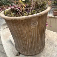 گلدان های سفالی|گل و گیاه طبیعی|تهران, ونک|دیوار