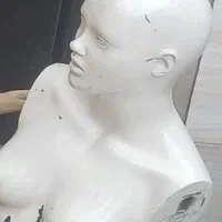 تعدادی فولدر زیگزاگ و راسته مانکن نیم تنه