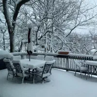 کارت به اسم حسن سرمندی رضای ومجتبی ویانجی